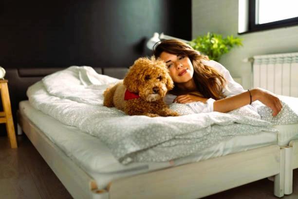 Riverside Grand Forks Ngoại thất bức ảnh